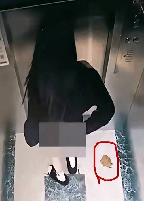 电梯里有俩2b的相关图片